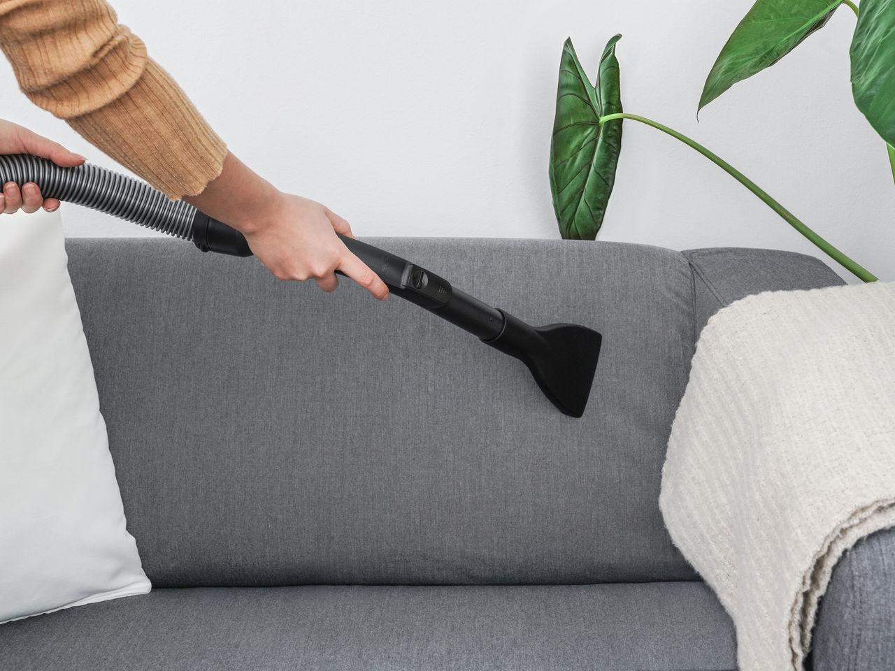 Sofa wird mit Swirl Polsterdüse gesaugt